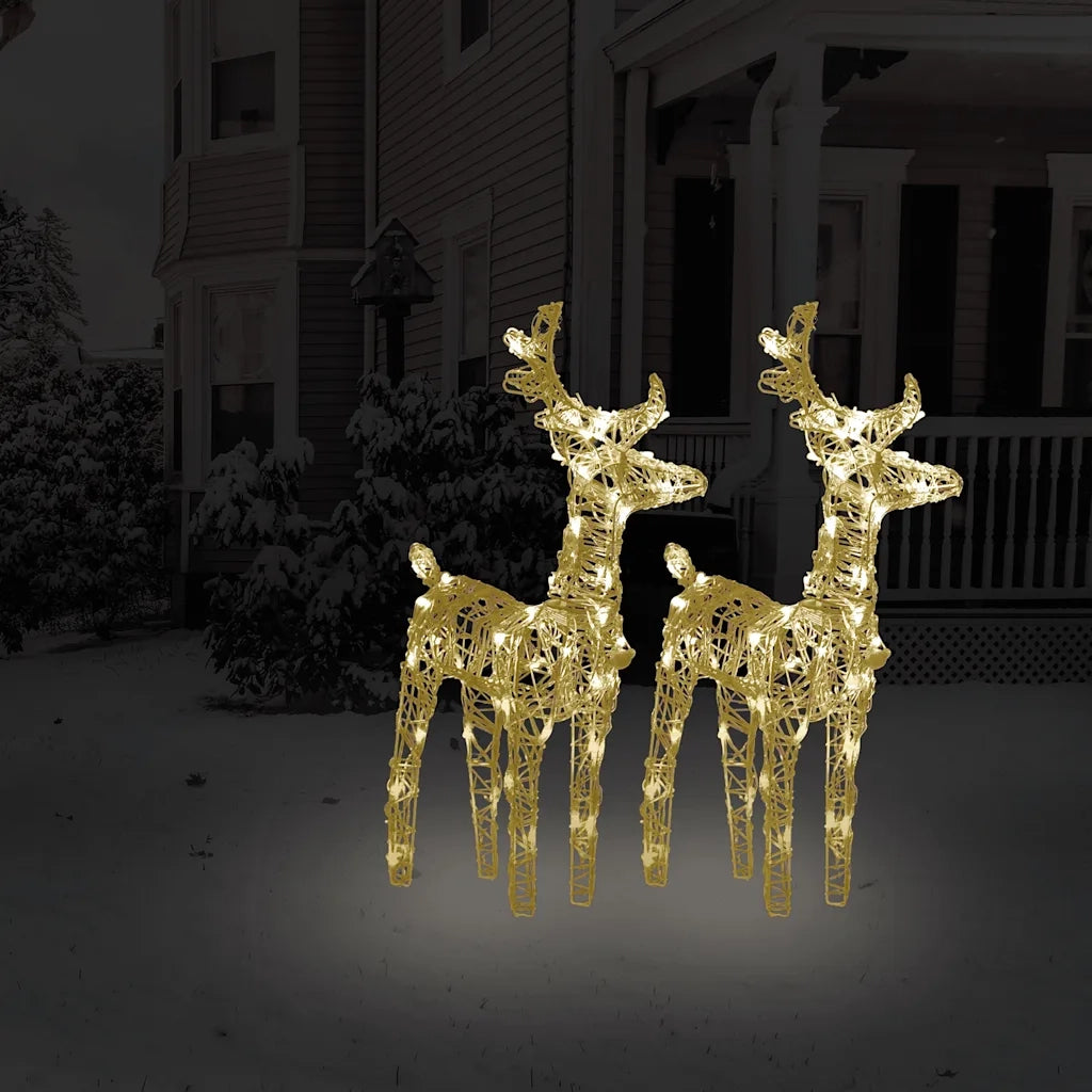 Renne di Natale 2 pz Bianco Caldo 80 LED in Acrilico CFW4721272