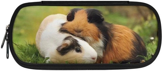 Etui per oggetti, etui con grande capacità per bambini, etui per penne, taschino con compartimenti, modello Cavia-1, organizzatore di tasca