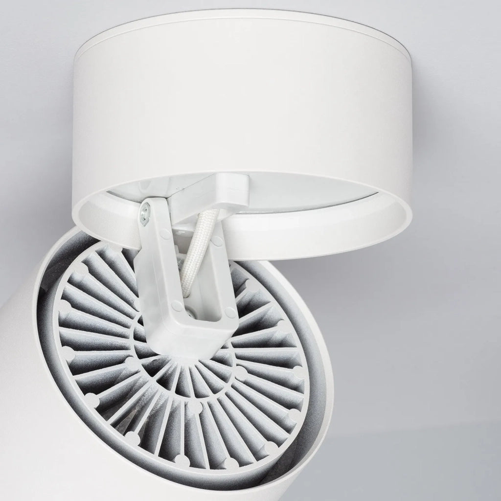 Faretto LED 30W bianco caldo Abruzzo Romeo LPR-30W