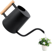Giocatore per piante da appartamento - lunga canna e manico in legno confortevole - acciaio inossidabile nero per piante da vaso e piante grasse