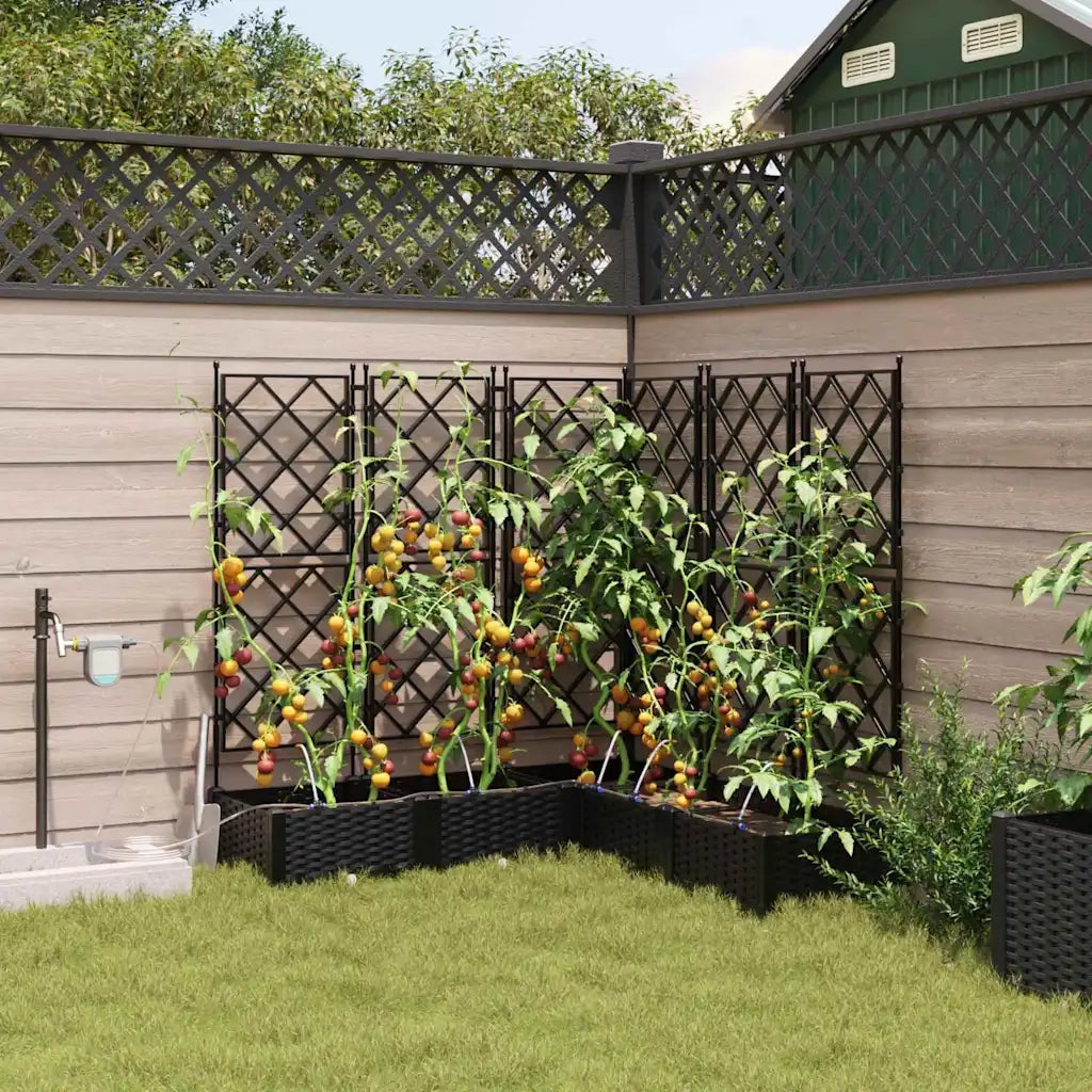 Vaso da giardino 5 pcs Nero Plastica 42002855