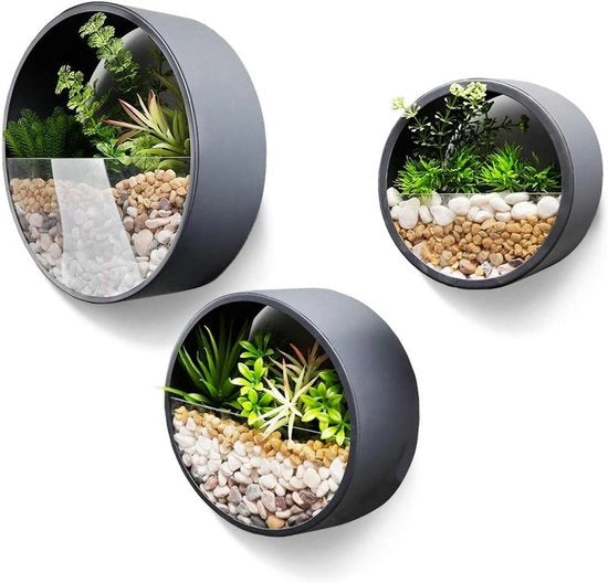 Set di 3 Pannelli di Muro in Metallo Sferico per Piante - Interno, Appeso - 3 Pezzi - Grigio Scuro - Metallo - 10cm