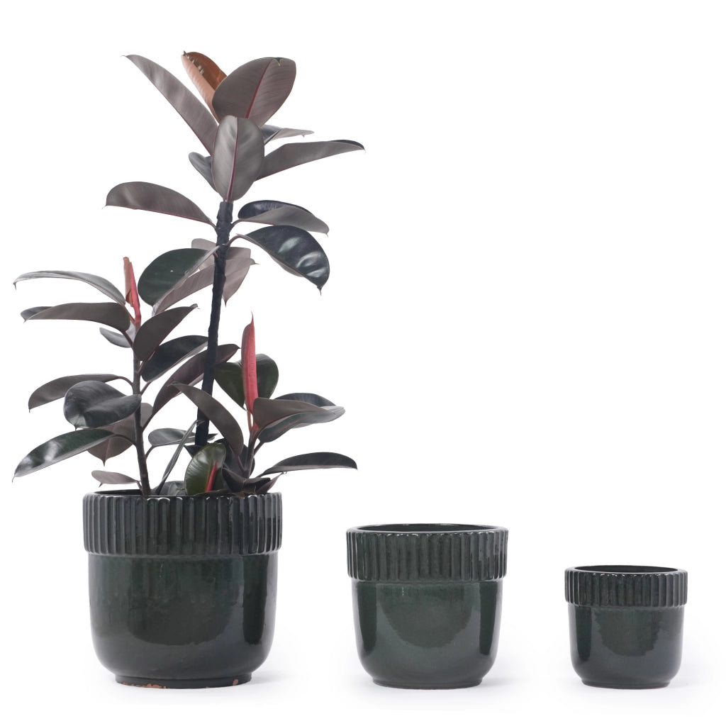 VASO per piante artigianale Ø 30,5 cm Ceramica Verde scuro lucido