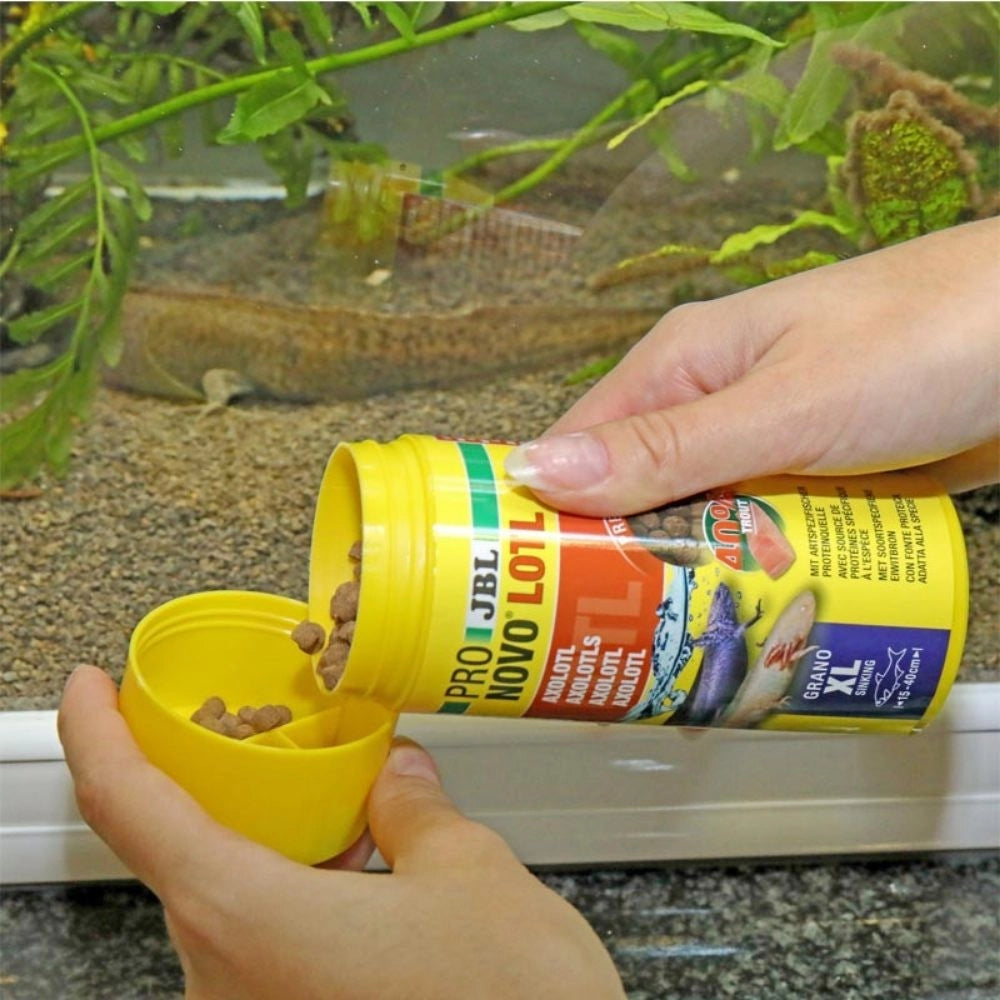 JBL ProNovo Lotl Grano XL 250ml - Mangime base in granuli per Assolotti e Tritoni da 15 a 25cm
