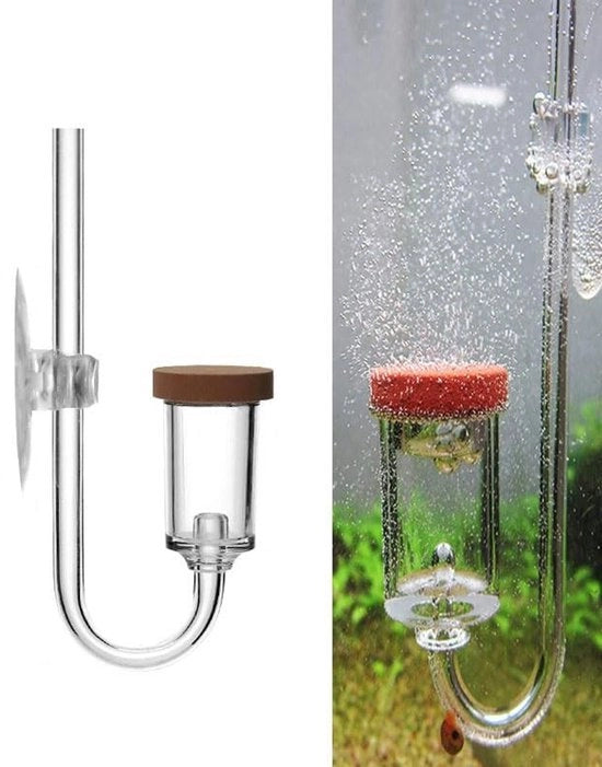 Diffusore a CO2 per acquario - Verifica la trasparenza - Acquario in acrilico - Diffusione a foglia fine - Adatto per acqua dolce e salata