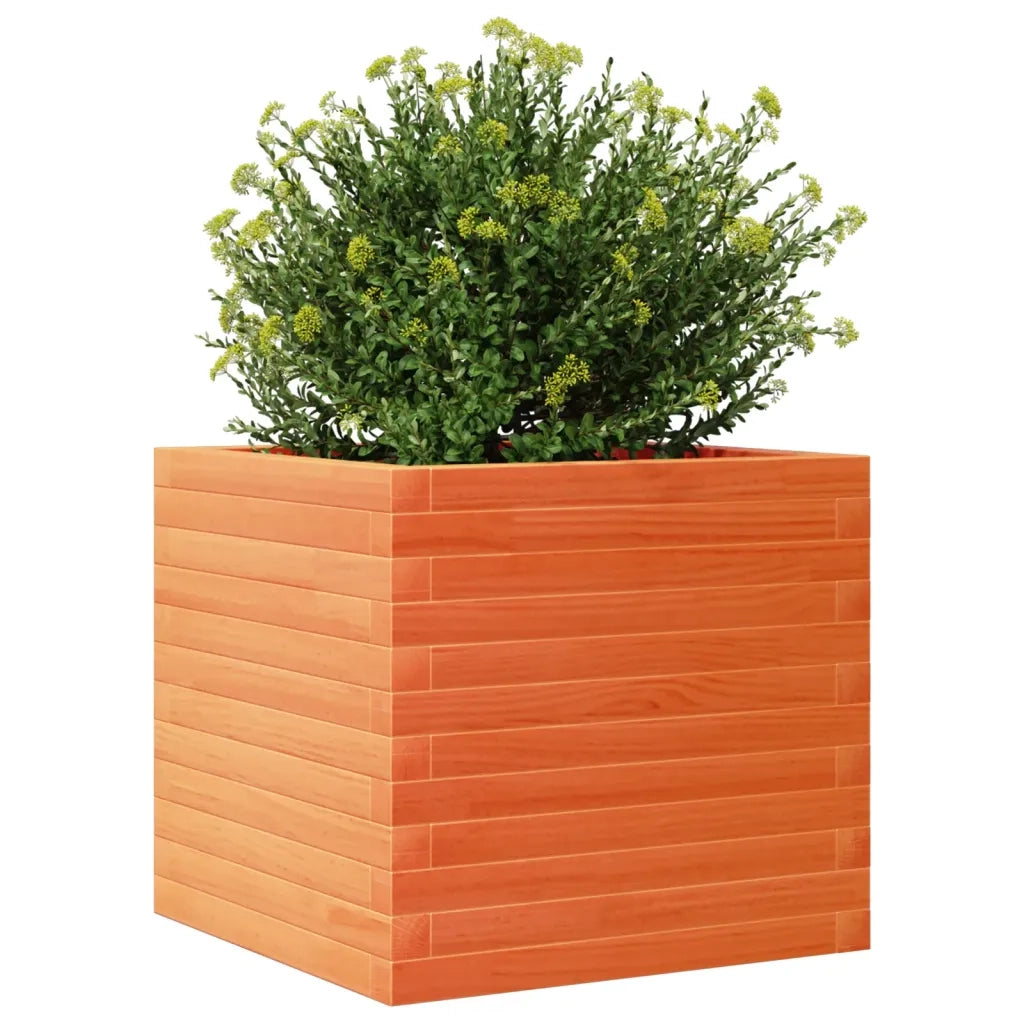 Fioriera Giardino Marrone Cera 50x50x45,5cm Legno Massello Pino 847245