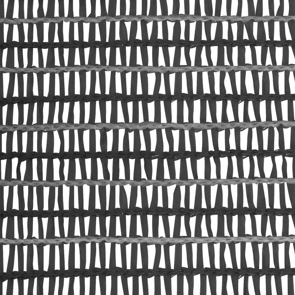 Rete per Privacy Antracite 1,2x25 m in HDPE 175 g/mÂ²