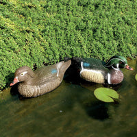 Anatra Sposa Decorativa H16 cm per Laghetti da Giardino