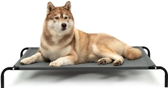 Letto per cani elevabile fino a 65 kg, 117x85 cm grigio