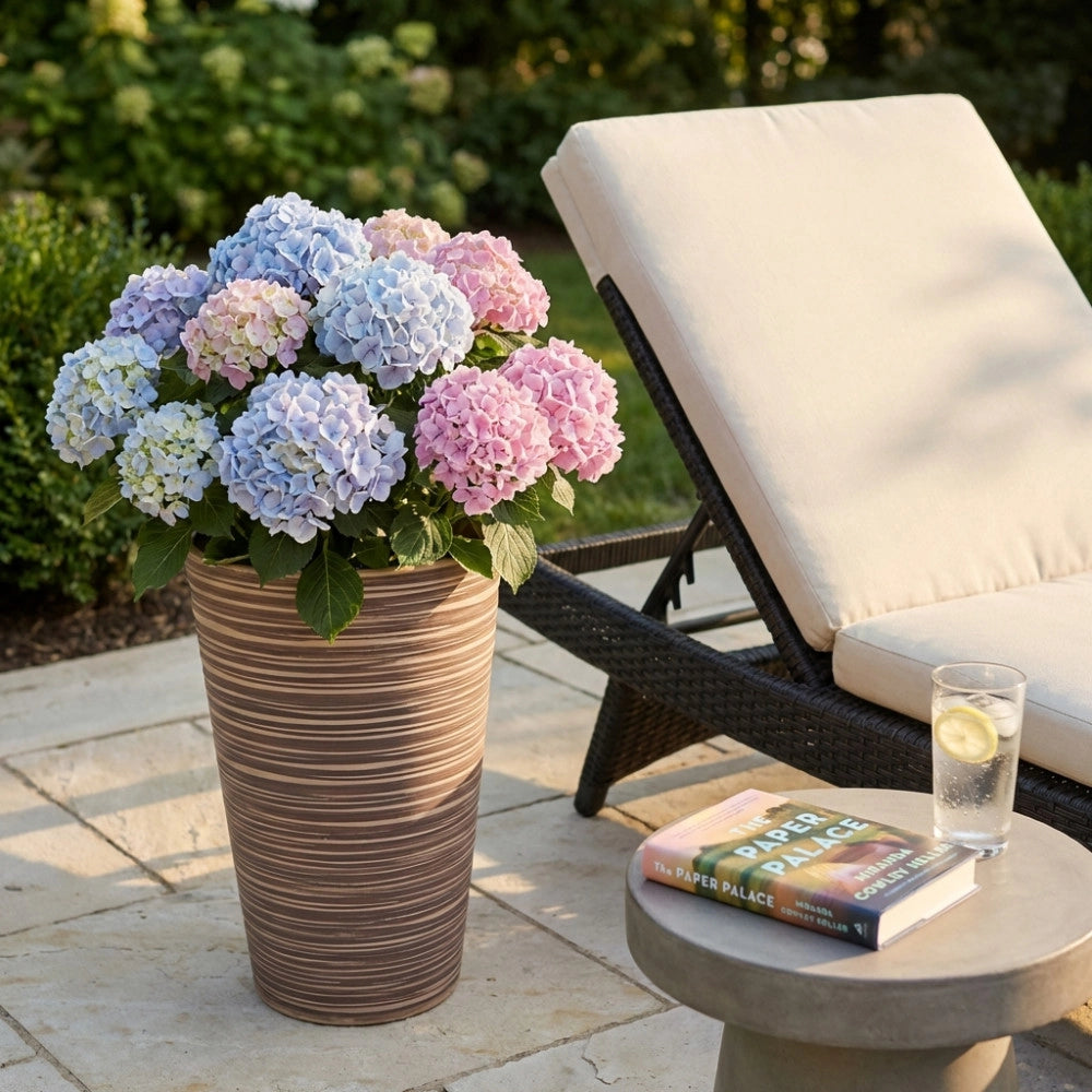 VASO GRANDE AZALEA