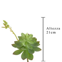 Set 6 Echeveria Cactus Artificiale Altezza 21 cm Verde