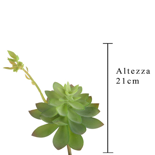 Set 6 Echeveria Cactus Artificiale Altezza 21 cm Verde
