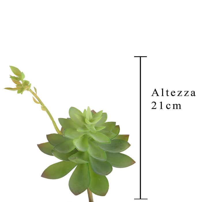 Set 6 Echeveria Cactus Artificiale Altezza 21 cm Verde