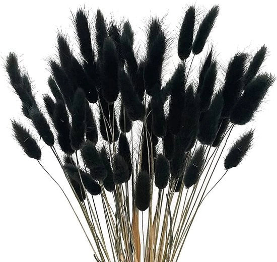 Lagurus ovatus graminacee, 60 pezzi, 40 cm, capelli di coniglio essiccato, bambù, velluto, pampas essiccato, pianta decorativa, decorazione per la casa, ruscus, fiori essiccati, fiori artificiali piccoli in gruppo di tre.