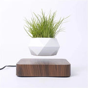 Vaso Magnetico Galleggiante per Bonsai e Pianeti Grasse - 360° Rotazione Vaso aeree