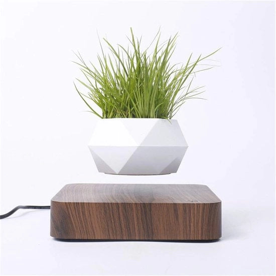 Vaso Magnetico Galleggiante per Bonsai e Pianeti Grasse - 360° Rotazione Vaso aeree