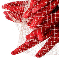 Stelle Marine Colorate 10 Pz 15x20 cm