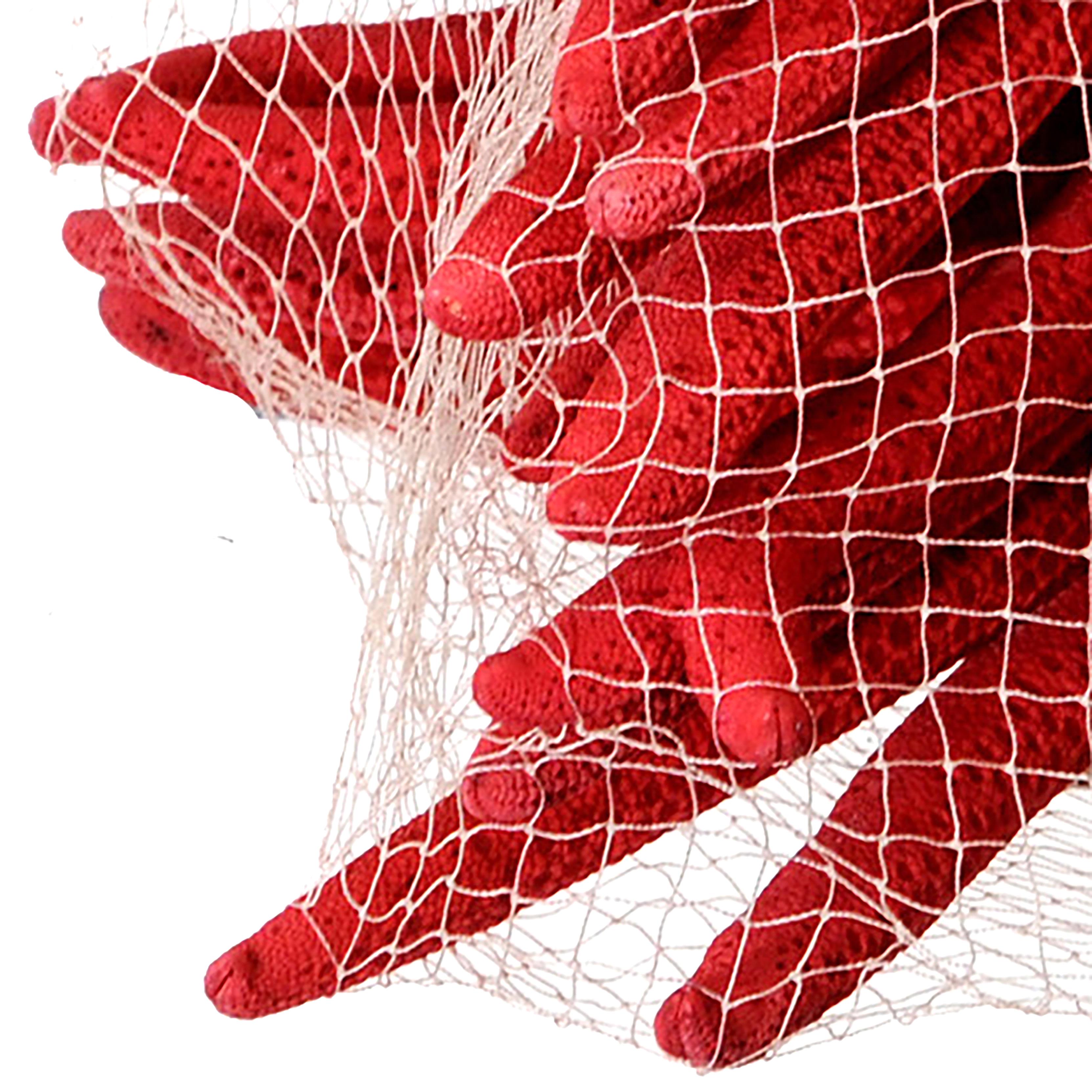 Stelle Marine Colorate 10 Pz 15x20 cm