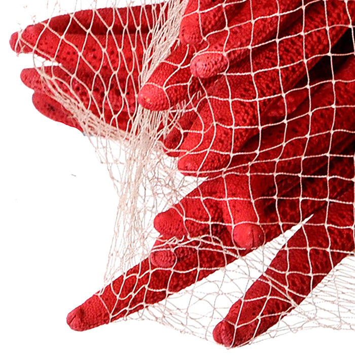 Stelle Marine Colorate 10 Pz 15x20 cm