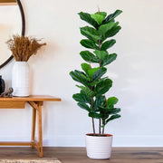 Vijgenboom Artificiale, 152 cm, Fiddle Leaf Vijgenboom Artificiale, Pianta Artificiale in Vaso per Interno ed Esterno, Albero Artificiale