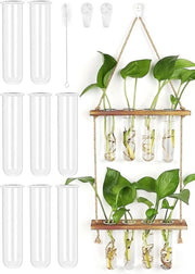 Stazione di Propagazione per Piante a Sospensione - Decorativa - Set da 9 - Vetro di Alta Qualità