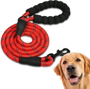 Riem per cani - 2 m - Riem per addestramento cani - Maniglia morbida - Corda per cuccioli e piccoli, medi e grandi cani - Riem reflectante - Riem rotonda e esplosione-sicura in corda - Riem con maniglia in gomma schiuma