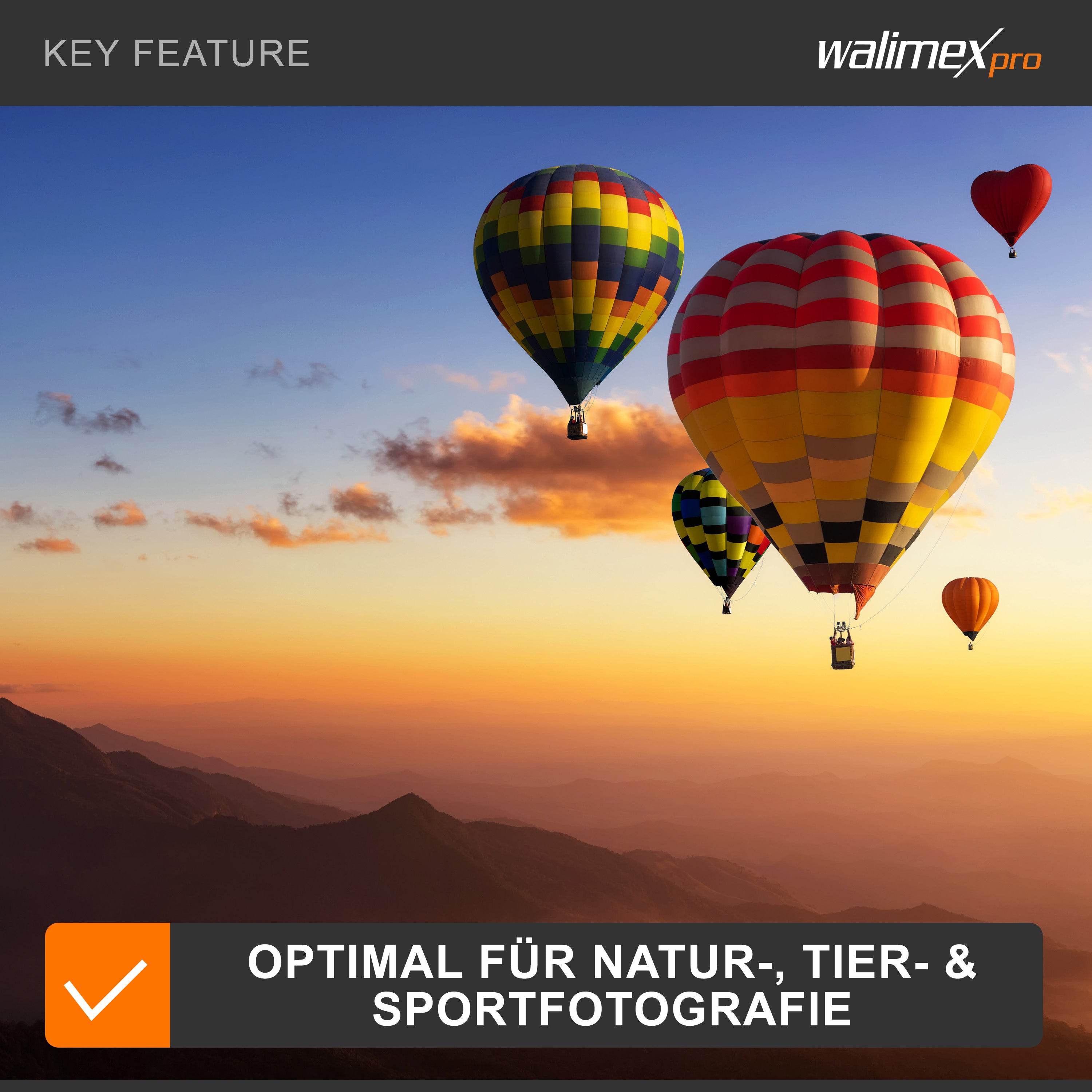 Obiettivo fotografico 500/8,0 per fotocamere varie, Teleobiettivo per full-frame e APSC, con diaframma a iride, per fotocamera DSLR