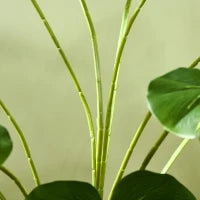 Pianta Artificiale Monstera Alta 180cm per Interno ed Esterno con Vaso Incluso