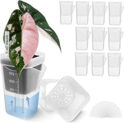 Pannelli autoirriganti - Mini vasi per piante - Cura delle piante - Indicatore livello acqua - 12 pezzi - Bianco