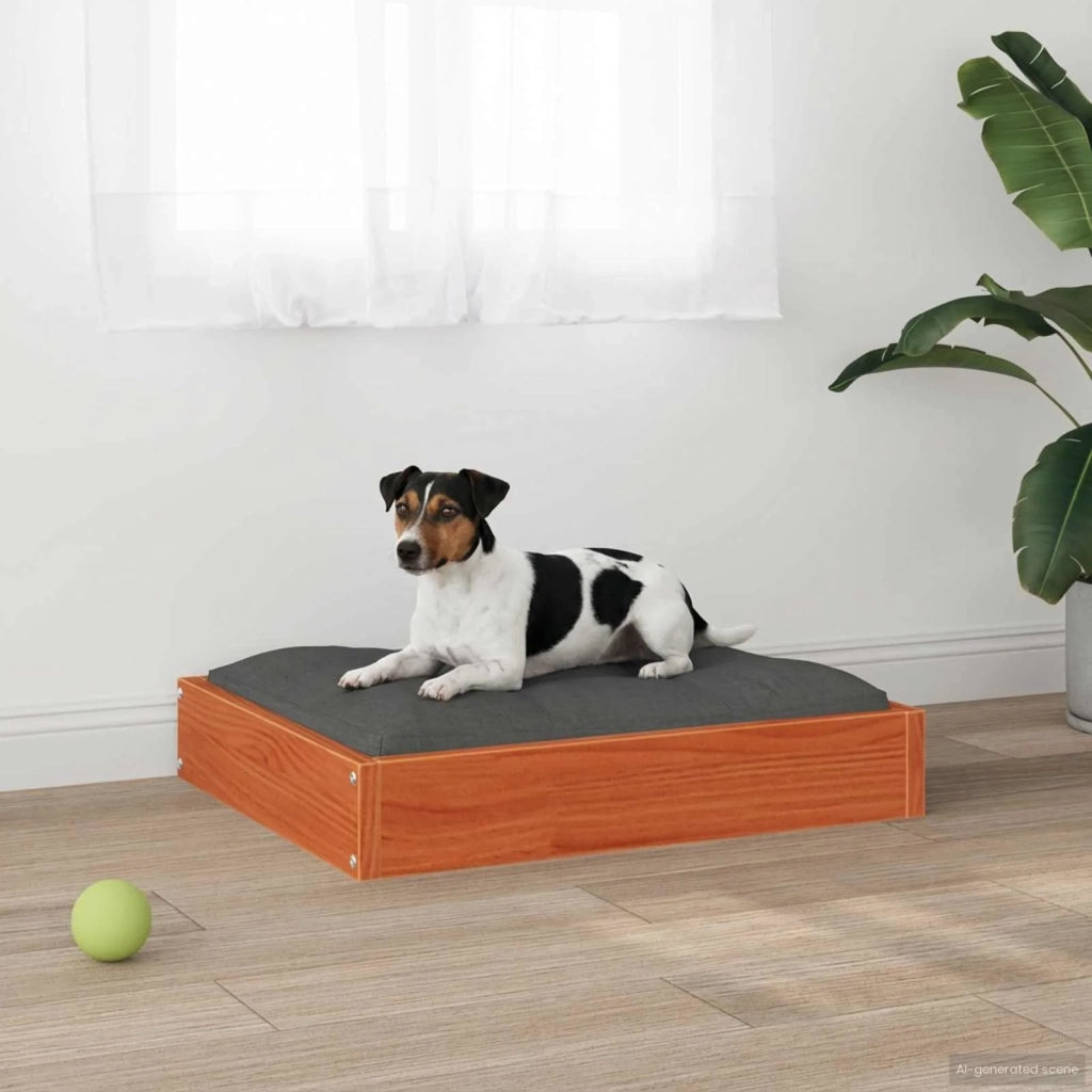 Letto per Cani Marrone cerato 51,5 x 44 x 9 cm CFW9584604