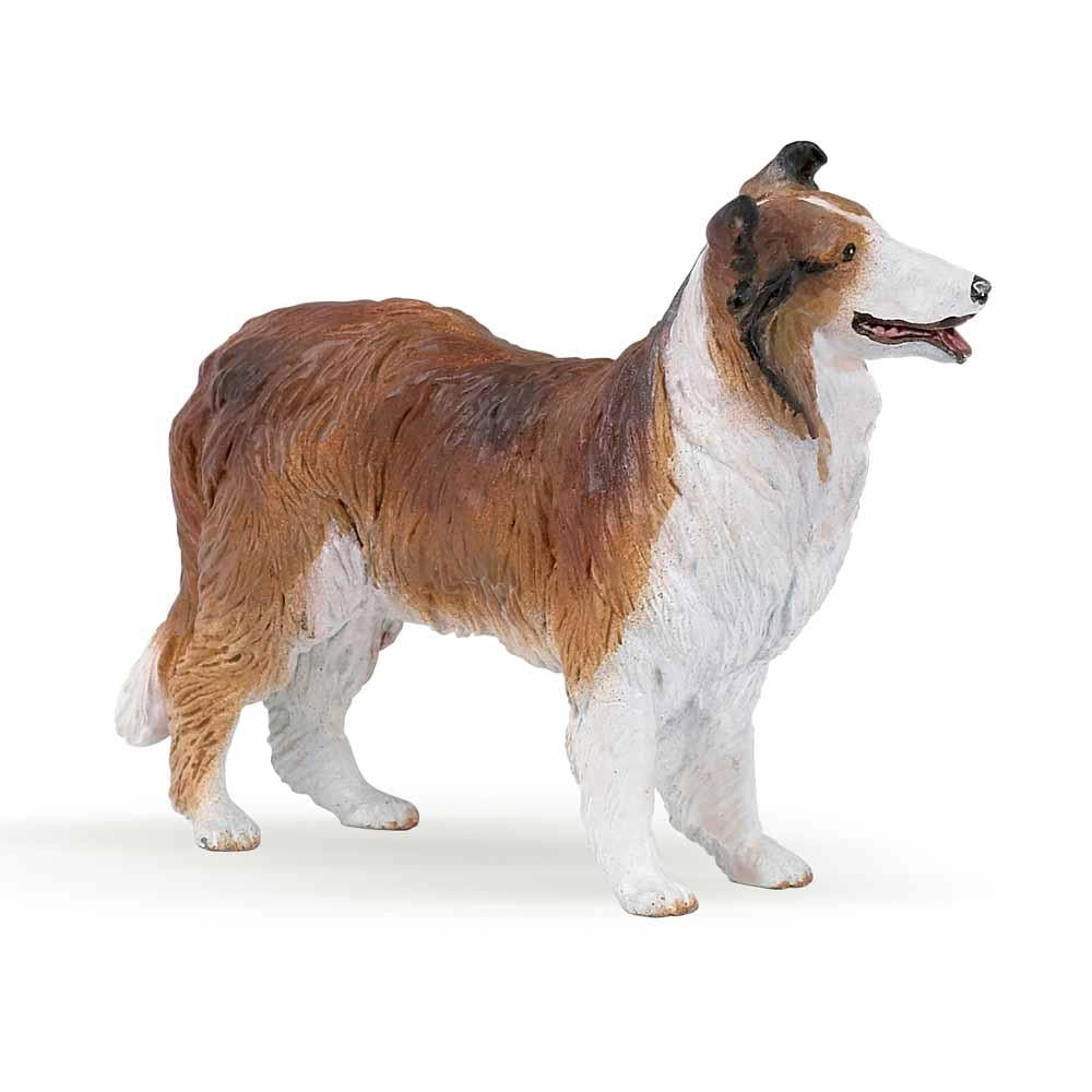 Papo - Collie