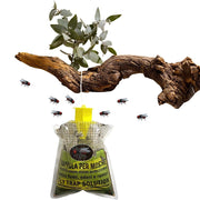 Trade Shop - Set 12pz Trappola Per Mosche Insetti Con Esca Naturale Ecologica Sicura Umani Animali 639719a -