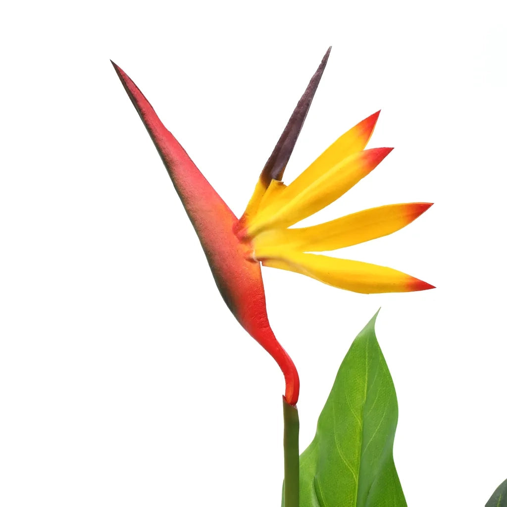 Pianta Artificiale Strelitzia Regina Uccello del Paradiso 66 cm CFW5161936