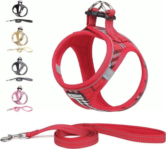 Accessorio per cani per piccoli e medi cani - Cintura anti-scappamento con strisce riflettenti e cinturino