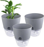 Set di 3 Piantine Autoirriganti con Irrigazione Automatica - Grigio - 15,3 cm