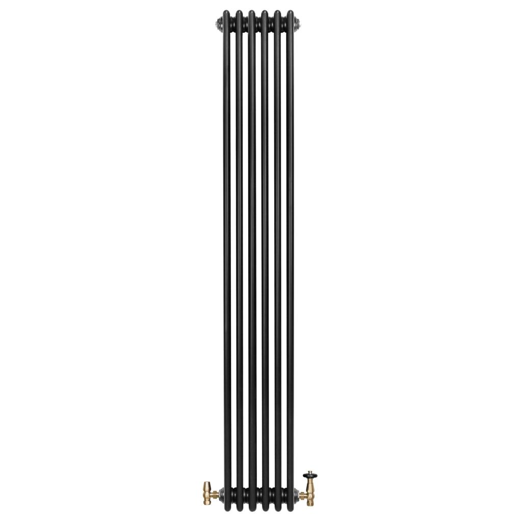 Radiatore Tradizionale 4 Colonne Verticale Riscaldamento Nero & Valvole 1800x290 mm