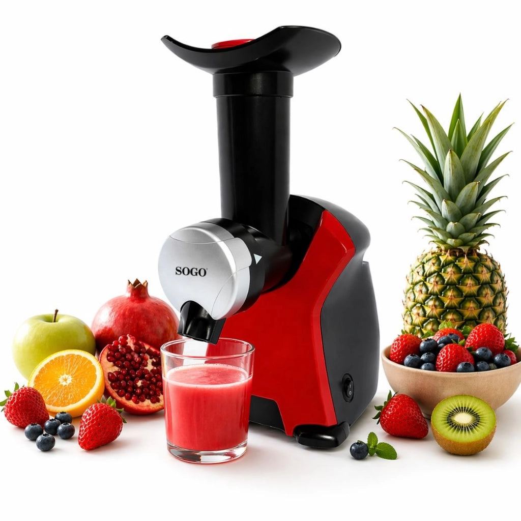 Macchina per gelato alla frutta congelata, prepara sorbetti e dessert sani senza zucchero, 250W con ricettario incluso - Sogo