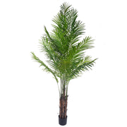 Kenzia Artificiale con Vaso Altezza 210 cm