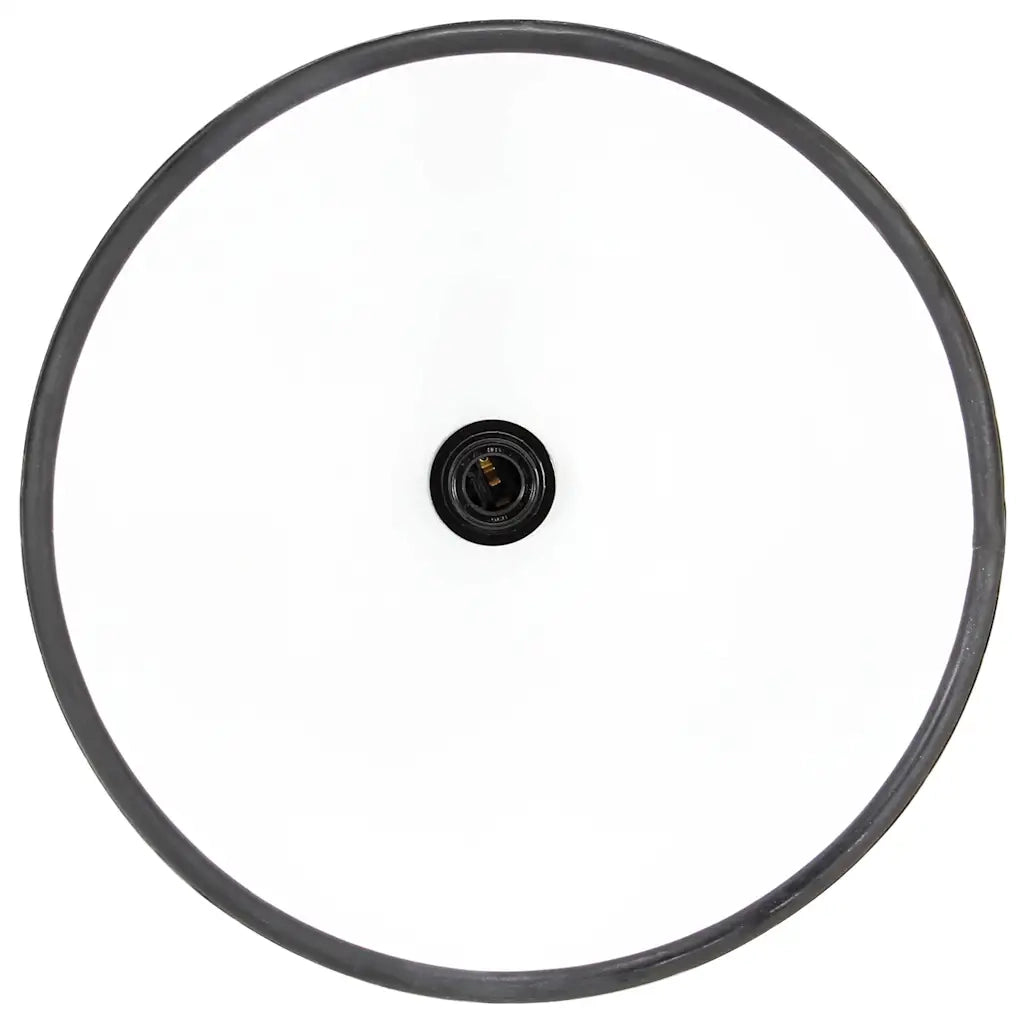 Lampada a Sospensione Industriale 25 W Nera Rotonda 40 cm E27 320535