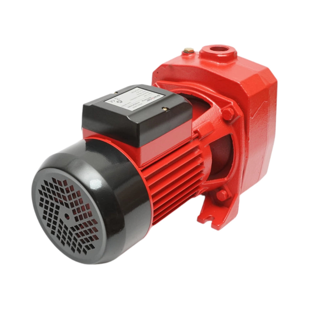 Elettropompa Autoadescante Pompa di superficie 1100W, 220V, prevalenza 38 metri, portata 100 litri/minuto, modello DP505 Breckner Germany
