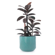 Vaso in ceramica 30,5 x 27 cm beige lucido con rilievo, interno e giardino