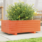 Fioriera Giardino-Vaso da Esterno-Contenitore per Piante Marrone Cera 70x40x26,5cm Legno Massello Pino