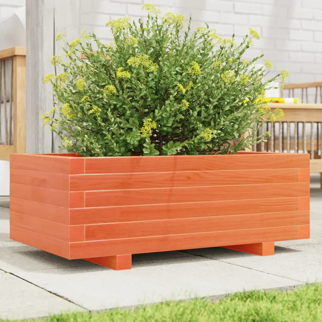 Fioriera Giardino-Vaso da Esterno-Contenitore per Piante Marrone Cera 70x40x26,5cm Legno Massello Pino