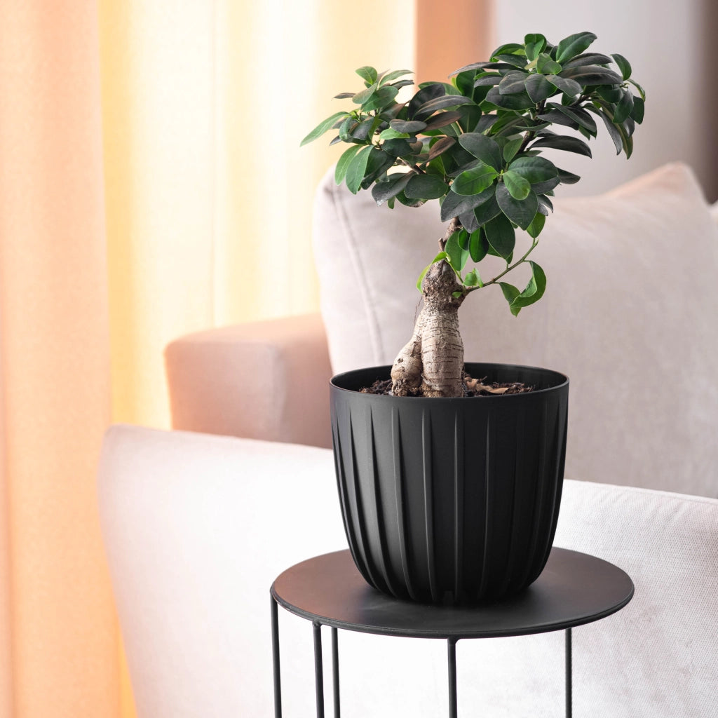 KADAX Vaso da fiori, coprivaso rotondo da 17,5 cm in plastica, supporto per fiori nero