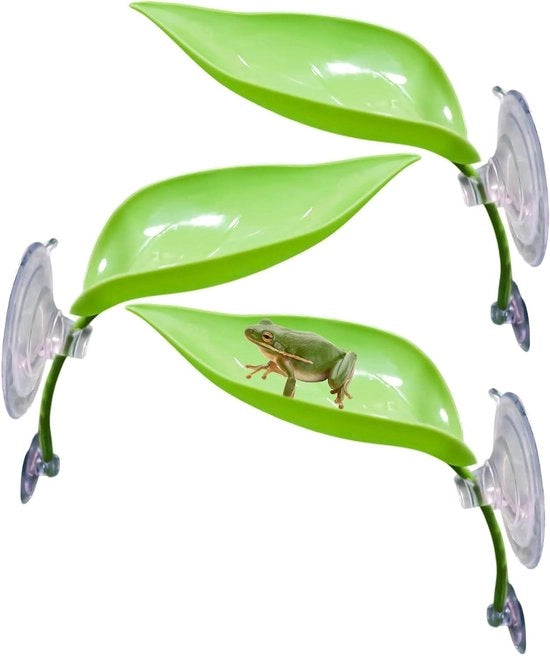 Decorazione per terrario per habitat di rana e rana nana africana - Set da 3 pezzi