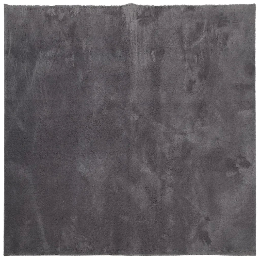 Tappeto Pelo Corto HUARTE Morbido Lavabile Antracite 120x120 cmcod mxl 133915