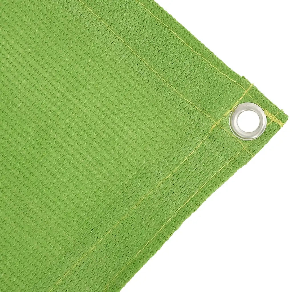 Tappeto da Tenda Verde Chiaro 400x600 cm HDPE