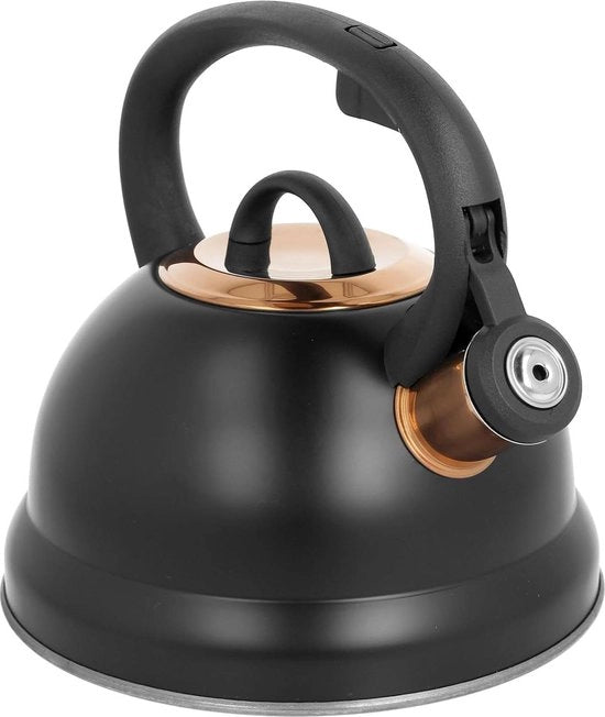 Induzione a gas 2,5 l in acciaio inossidabile, mat, per campeggio e cucina da campo.