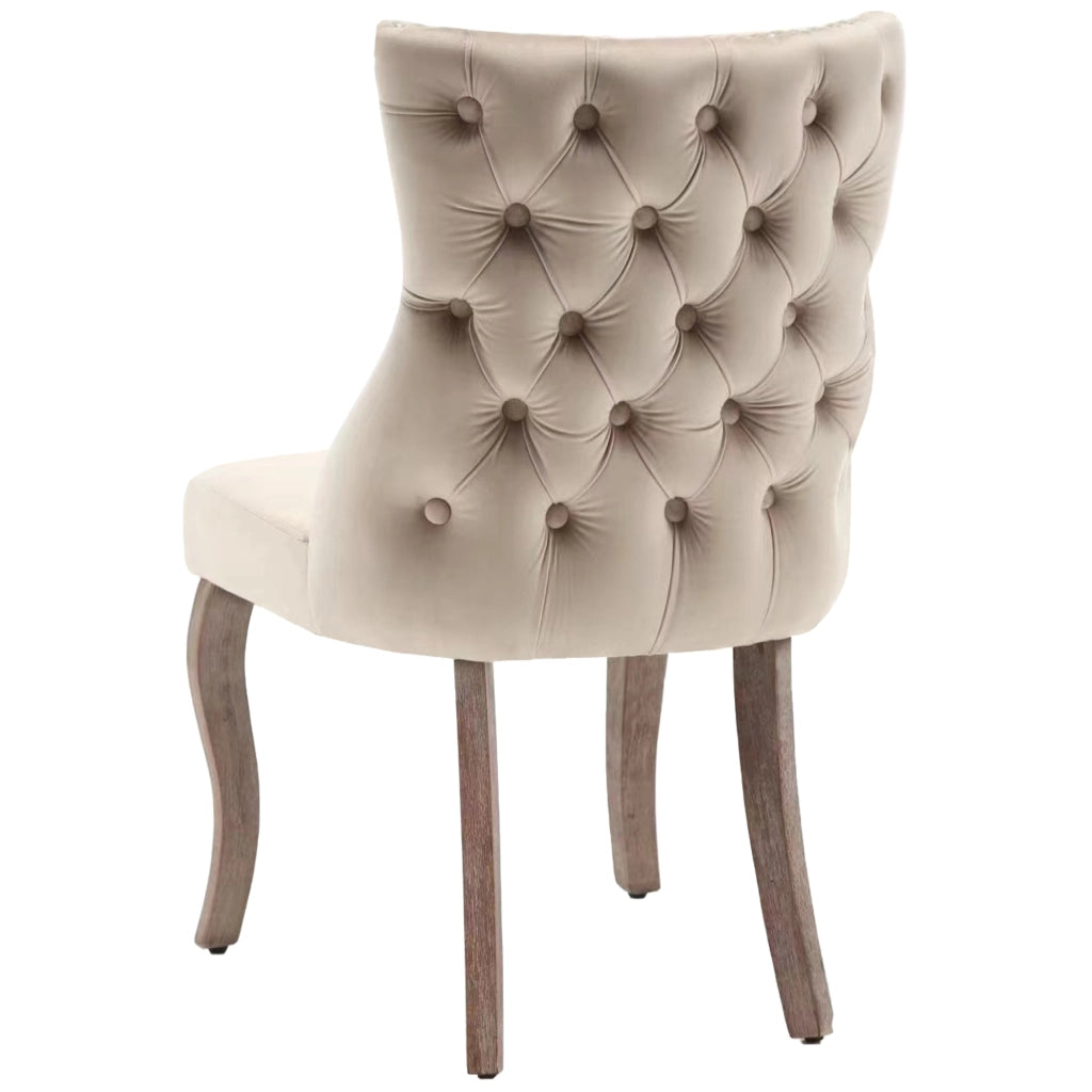 Chaise da pranzo in velluto con schienale capitonné e borchie decorative, gambe in legno massiccio beige