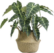 Pianta di Alocasia Artificiale, 45 cm alta, ideale per decorare soggiorno, camera da letto, sala da pranzo e vetrine